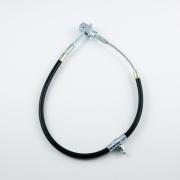 morepic-1