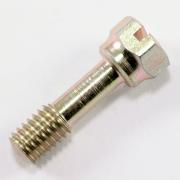 morepic-1