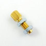 morepic-1