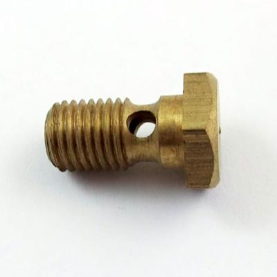 Hohlschraube (M 8x1) 