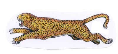 Panther: rennender Panther 