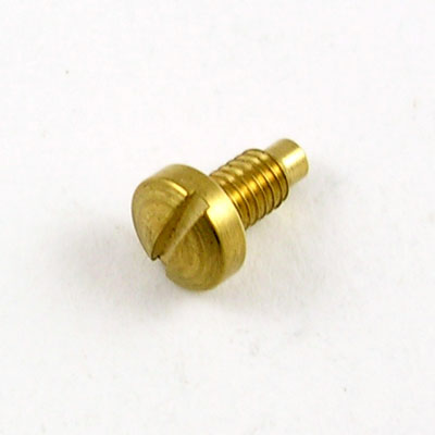 Führungsschraube 